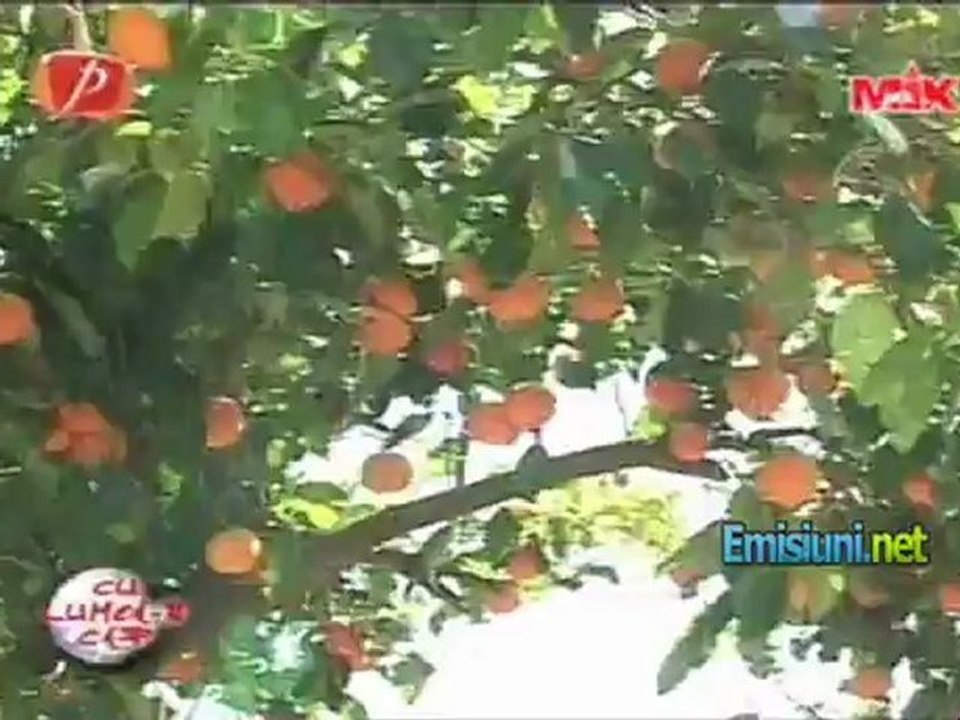 Cu lumea-n cap - part1