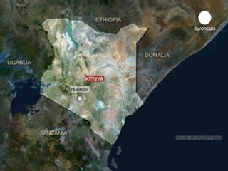 Kenyan minister and deputy killed in helicopter crash