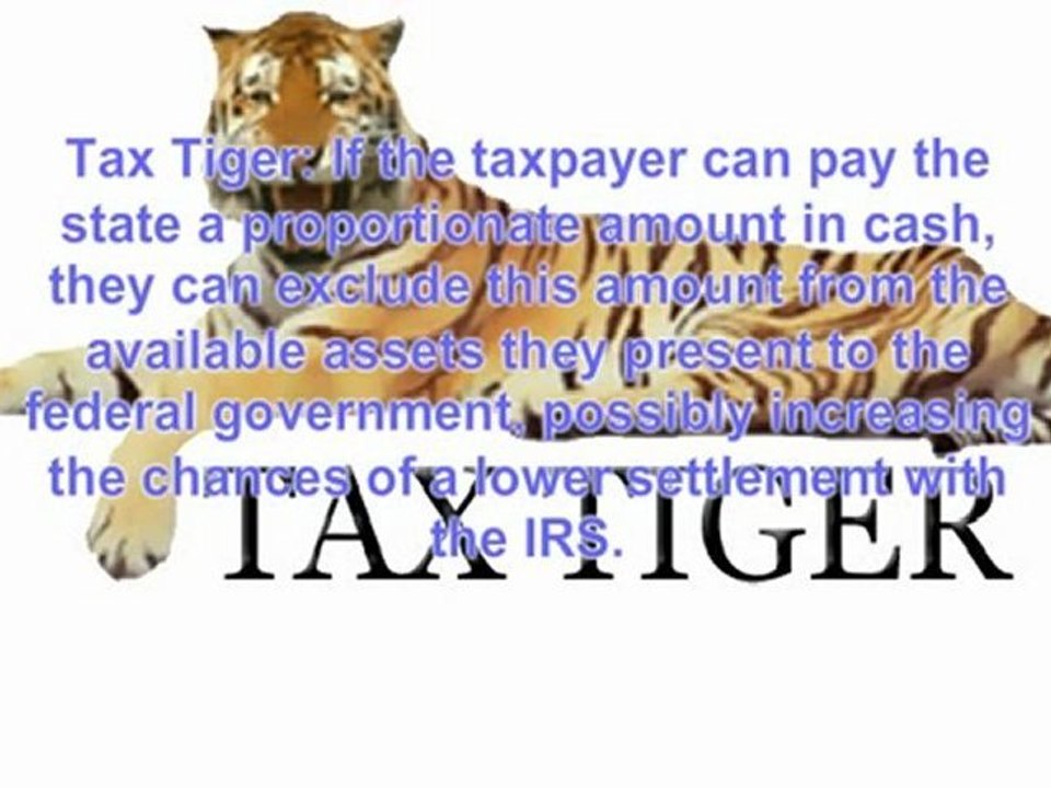 Tax Tiger Reports that State Tax Collectors Offer Negotiations
