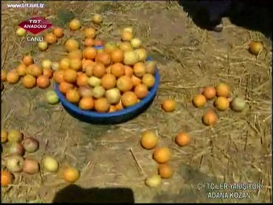 Ç.yrşTV5-1