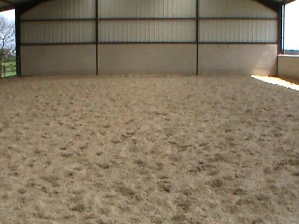 galop d et contre galop M2U03460