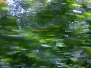 Universal Soldier The Return