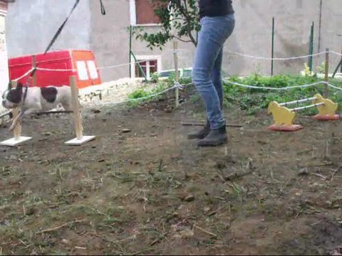 Premiers cours de Murphy dans le nouveau rond de longe