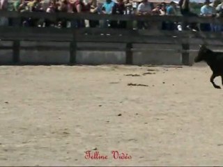 Les Saintes Maries de la Mer - Journée à l'ancienne - 9 juin 2012