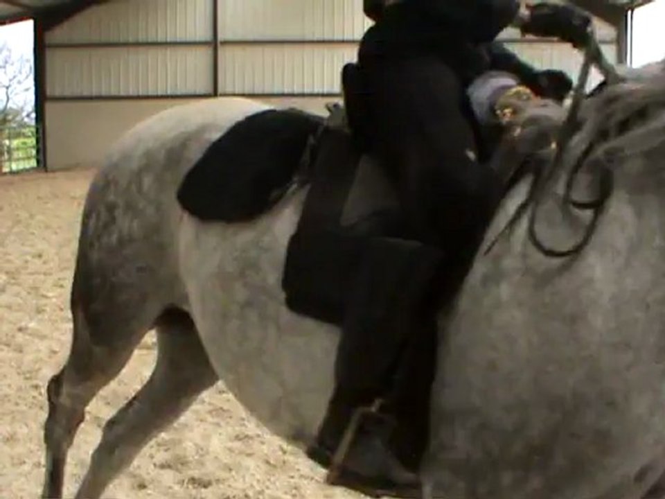 galop g et contre galop M2U03468