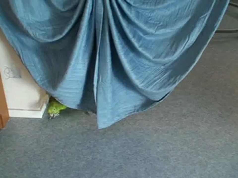 Philibert est un petit mâlin juin 2012