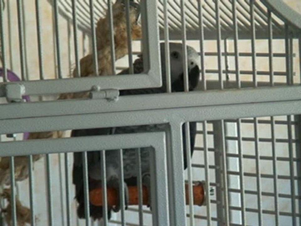 Calipsa en juin 2012 elle a 1an