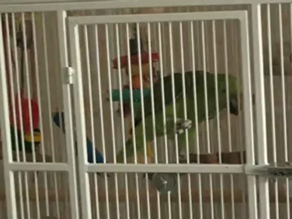 Philibert réclame son dodo