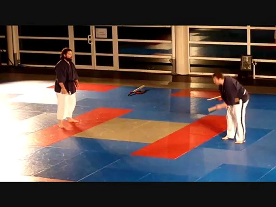 Démonstration Toreikan Budo