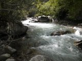 peche de la truite en torrent le 10 juin 2012