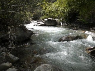 peche de la truite en torrent le 10 juin 2012