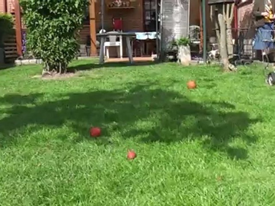 et si on jouait dehors 2