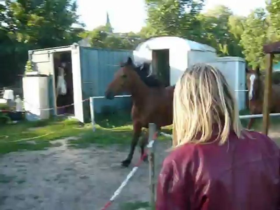 Retour au box pour Saga!