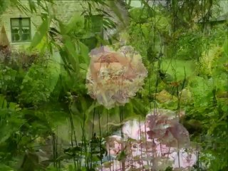 Les Fleurs du Cassel "d'un jardin à l'autre"