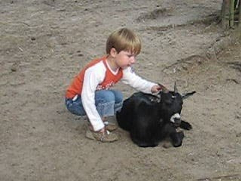 beekse bergen