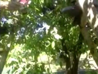 expression libre: tice en cours de FLS