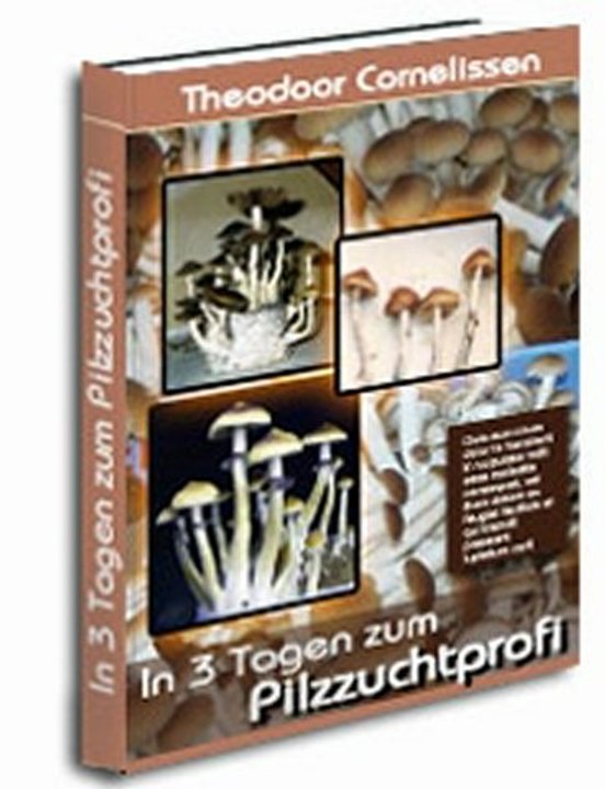 Magic Mushrooms | Zauberpilze | Psilos züchten lernen Sie in 3 Tagen