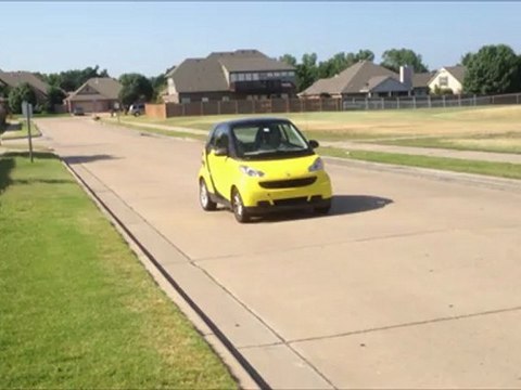 Tulsa Dog Trainers - Training Two Puppys !