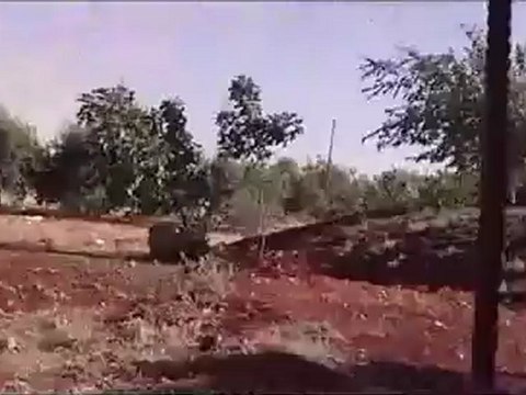 Syria فري برس حمص الرستن النيران تتصاعد من المزارع 10 6 2012 Homs