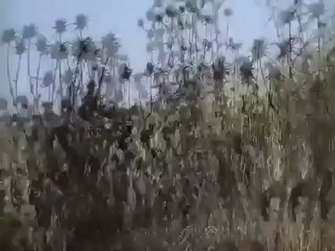 Syria فري برس حمص انشقاق كبير جدا في الغنطو كتيبة صواريخ فولغا تابعة للواء 72 الفرقة 26 التابعة لإدارة الدفاع الجوي 10 6 2012 Homs