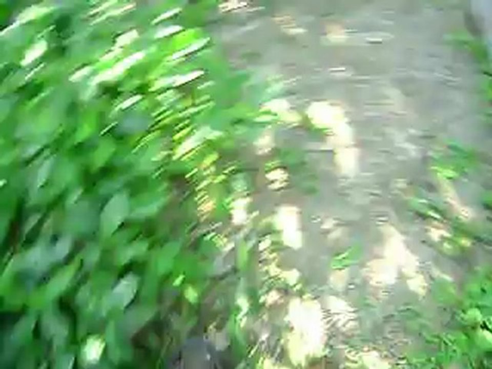 Resim 003