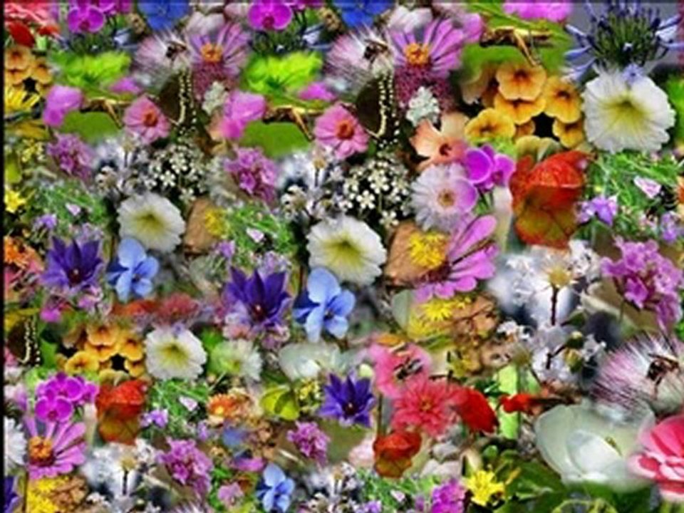 FROM MY HEART TO YOU FRIENDSHIP’S
