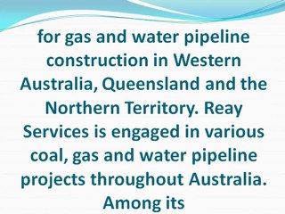 Reay Services Group Gears Up for Expansion