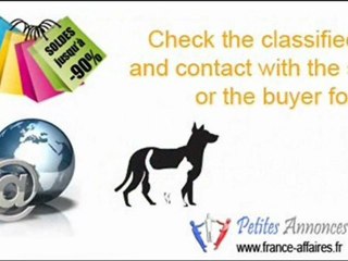 french business : a website of free ads classified online http://france-affaires.fr