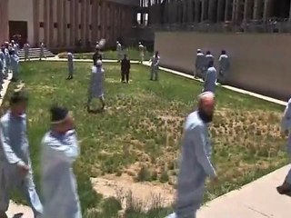 Would be suicide bombers converted