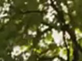 Miracle Of Science #I - TV Spot Miracle Of Science #I (English)