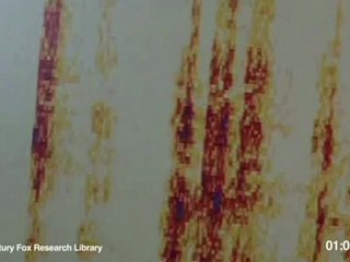 Intelligence Test - Viral Intelligence Test (English)