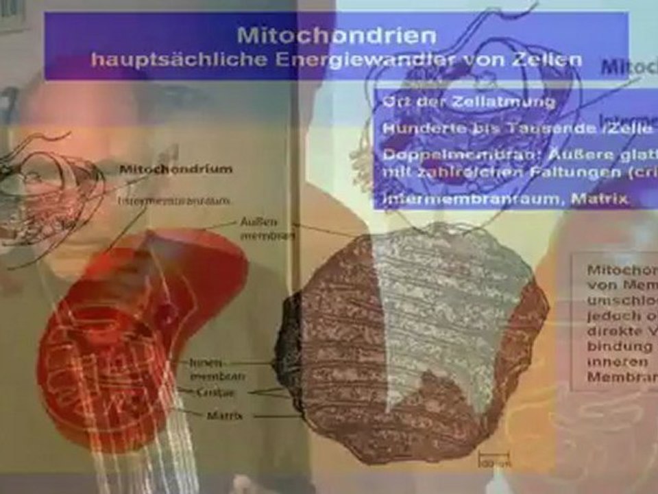 09 Prof. Dr. Jung - Airnergy Energietherapie