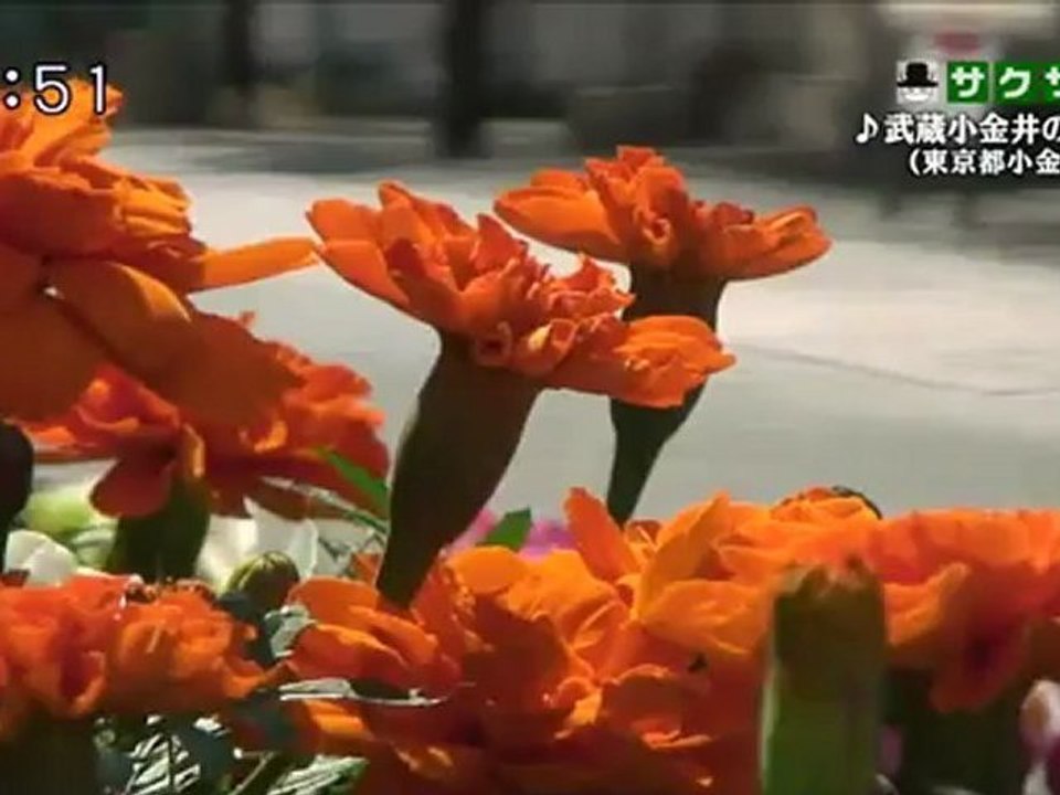 saku saku (20120619-0730 ｔｖｋ)-03