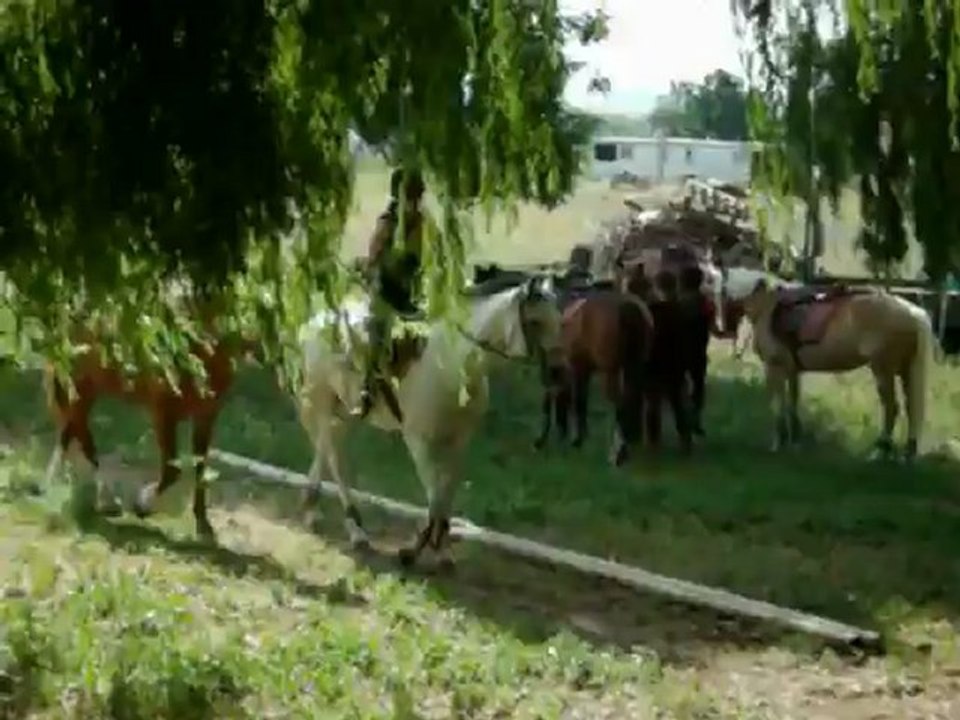 TEST BPJEPS Tourisme équestre, Opium montée par Zoé.