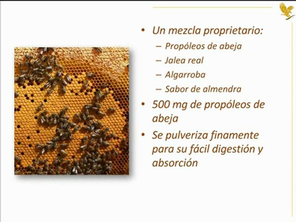 Forever bee propolis