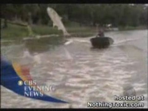 l'attaque des poissons volants