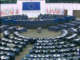 Izaskun Bilbao Barandica on Public consultations in all EU languages