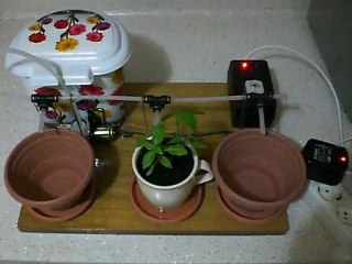 Otomatik Çiçek Sulama