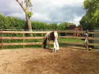 petite séance désensibilisation caramel
