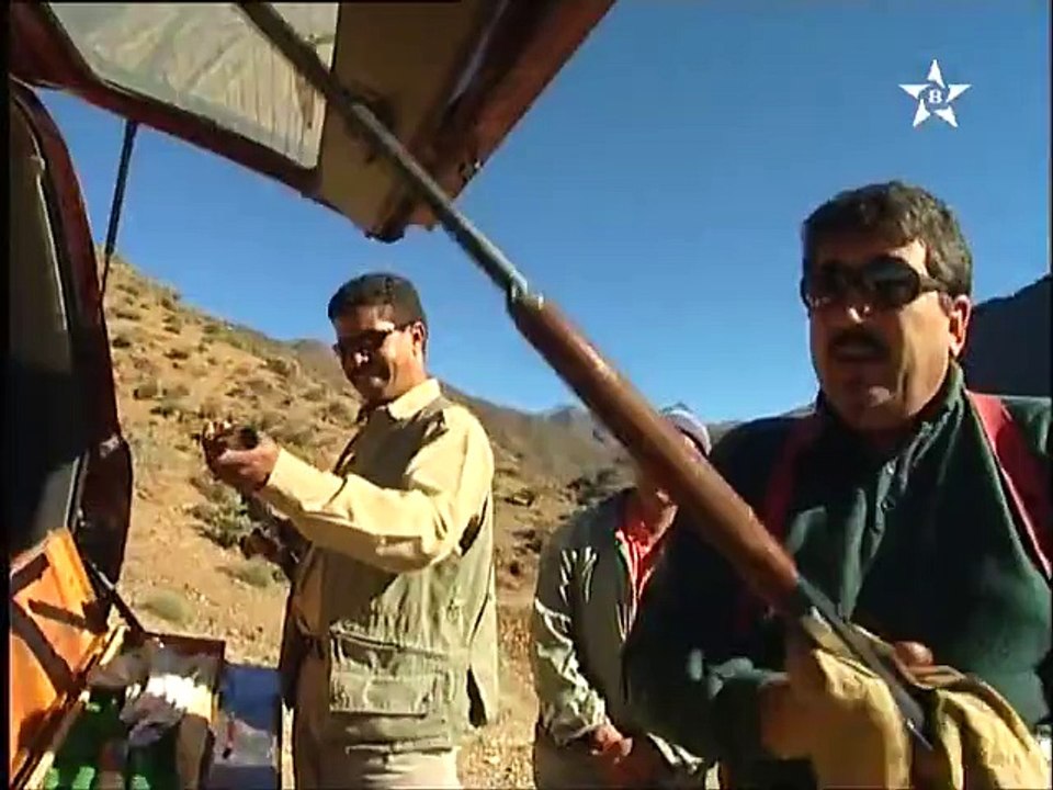 أمودو=طائر الڭمبري