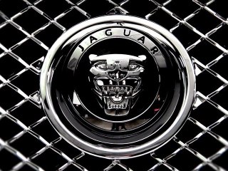 Florida Fine Cars - 2009 Jaguar XF