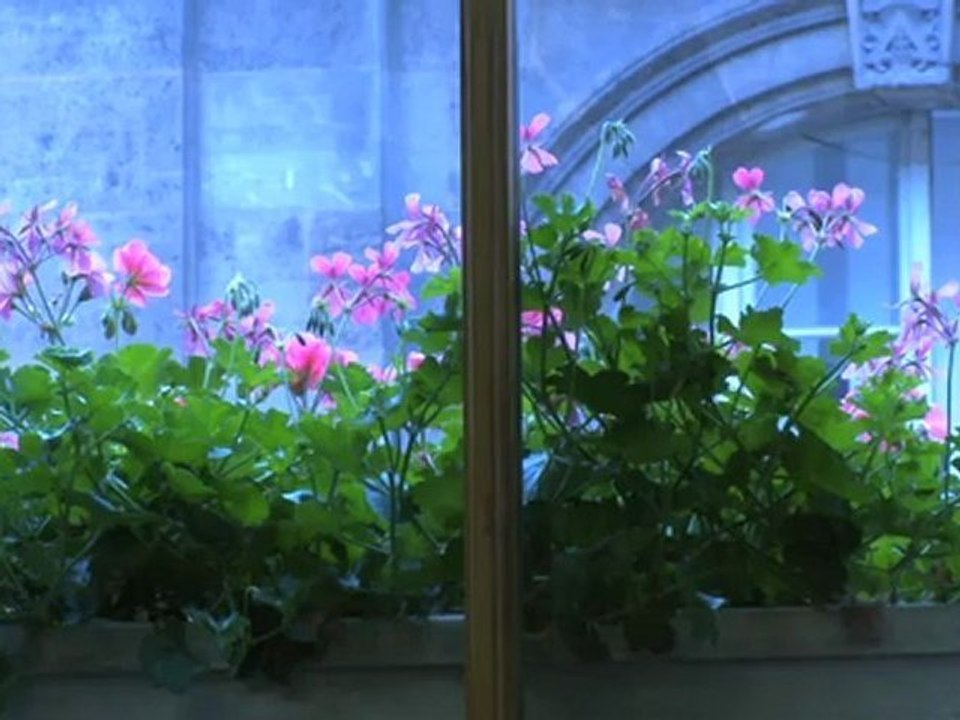 Soutien a Claire Morel