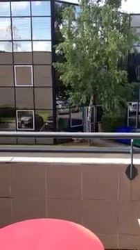 Opticien Cugnaux - Lunettes optiques et solaires