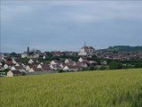 La rando des globules à Coulanges-la-Vineuse