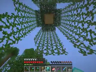 [Mine'N'Craft Survivor] Fin) Une Fin baclée