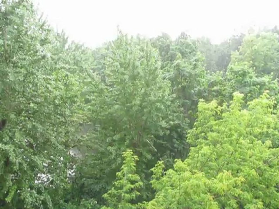 Дождь в Москве