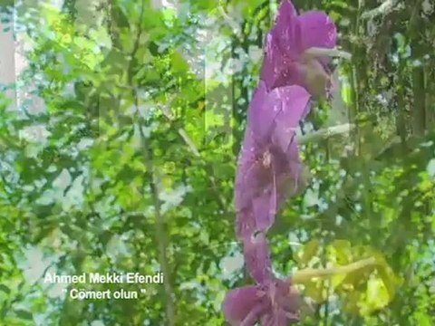 Cömert olun, Ahmet Mekki Efendi