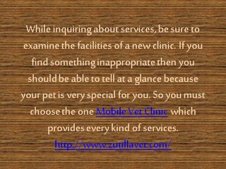 Search a perfect vet clinic for your cherished pet