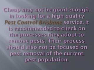 Choosing Quality Pest Control for Healthy Living