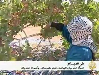 المرأة الريفية تلفت أنظار ندوة البرلمانيين العرب